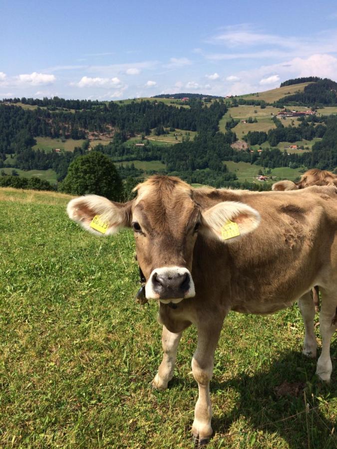 Ferienwohnungen Weixler Schindelberg Oberstaufen Dış mekan fotoğraf
